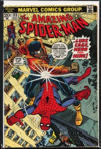 The Amazing Spider-Man #123 (1973)