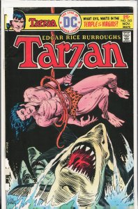 Edgar Rice Burroughs' Tarzan #243 (1975)