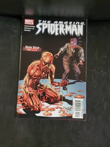 The Amazing Spider-Man #516 (2005)