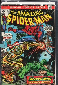 The Amazing Spider-Man #132 (1974) Spider-Man