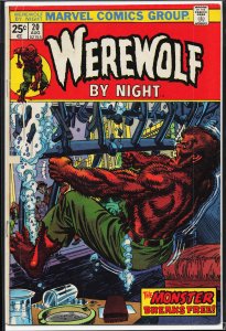 Werewolf by Night #20 (1974) Werewolf by Night