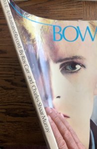 David Bowie and illustrated record by Carr 1981,120p