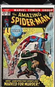 The Amazing Spider-Man #108 (1972) Spider-Man