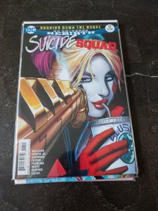 Suicide Squad #13 (2017)