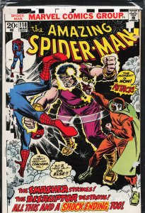 The Amazing Spider-Man #118 (1973) Spider-Man