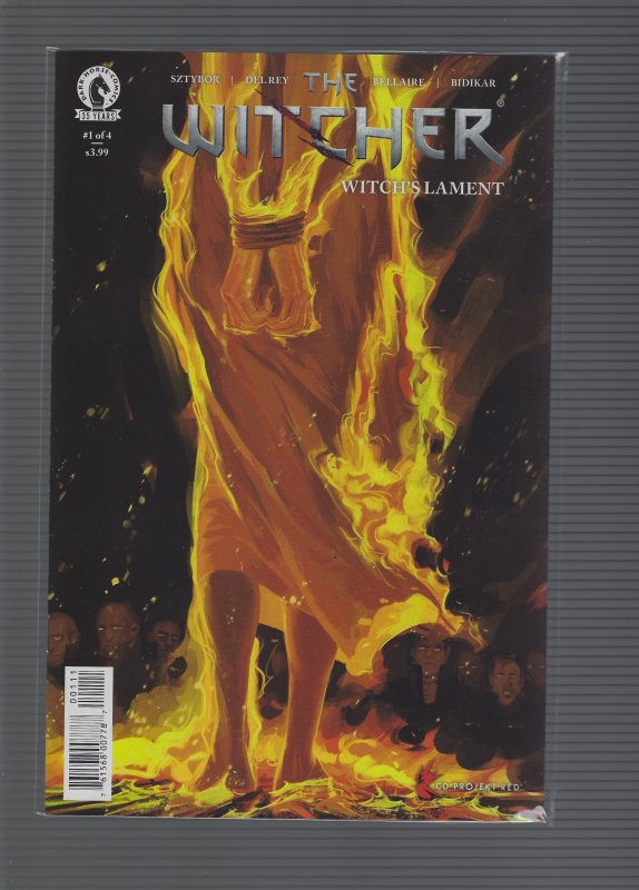 The Witcher #1