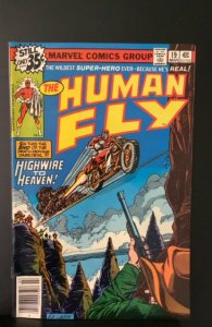 The Human Fly #19 (1979)