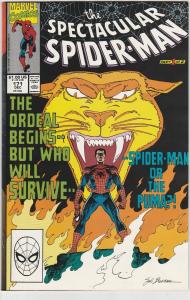 6 The Spectacular Spider-Man Marvel Comics # 77 95 133 171 172 Annual # 7 LH26