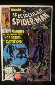 The Spectacular Spider-Man #163 (1990)