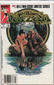 Tarzan of the Apes #1 (1984) Tarzan