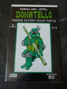 Teenage Mutant Ninja Turtles Teach Karate #3