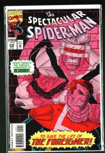 The Spectacular Spider-Man #210 (1994)
