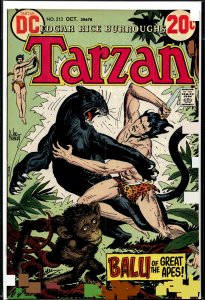 Edgar Rice Burroughs' Tarzan #213 (1972)