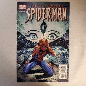 Peter Parker Spider-Man 48 Near Mint- Cover pencils by Mark Buckingham