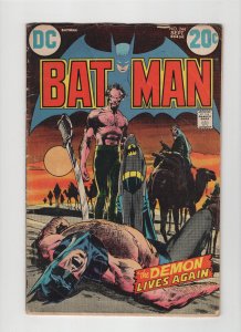 Batman #244 (1972, DC comics) Low Grade 