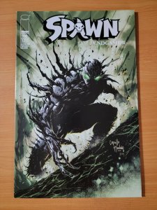 Spawn #190 ~ NEAR MINT NM ~ 2009 Image Comics