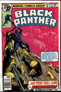 Black Panther #13 (1979) Black Panther
