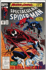 The Spectacular Spider-Man #201 (1993) Spider-Man