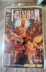 Firestorm #21 (2006)