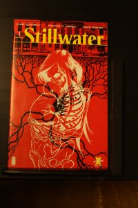 Stillwater #1 (2020) Stillwater