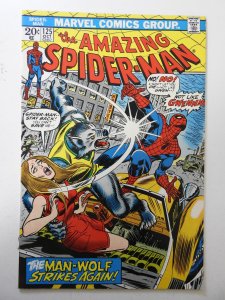 The Amazing Spider-Man #125 (1973) FN Condition!