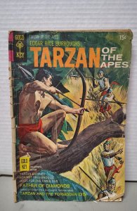 Edgar Rice Burroughs' Tarzan #191 (1970). H26