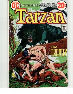 Edgar Rice Burroughs' Tarzan #218 (1973)