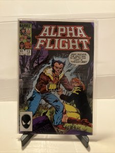 Alpha Flight #13 Aug 1984, Marvel Comics Nightmare Wolverine!