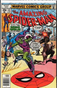 The Amazing Spider-Man #177 (1978) Spider-Man