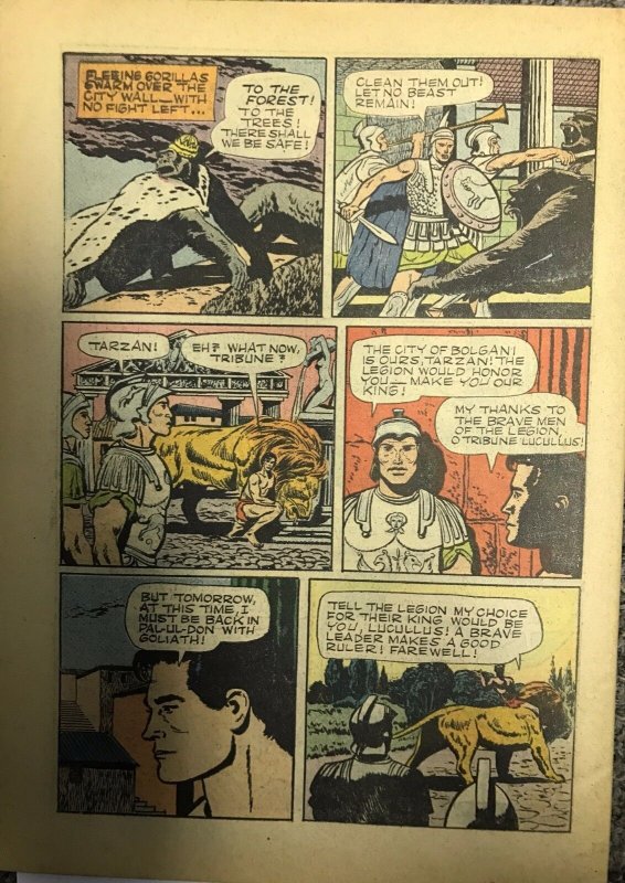 (1965) EDGAR RICE BURROUGH'S TARZAN LORD OF THE JUNGLE GIANT #1! Gold Key!