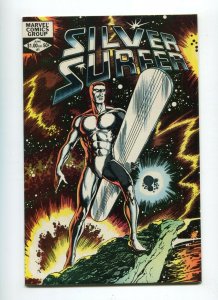 Silver Surfer 1 NM Origin  1982 One Shot