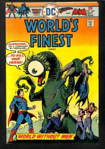 World's Finest Comics #233 (1975)