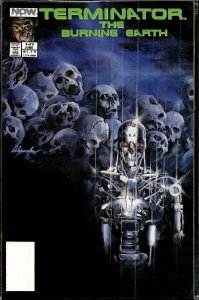 The Terminator: The Burning Earth #4 (1990) The Terminator