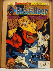 The Black Hood #3 (1992) sb4