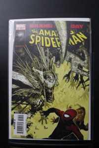 The Amazing Spider-Man #557 (2008)