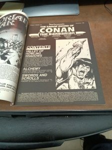 The Savage Sword Of Conan 118 November 1985 Marvel Comics Magazine Joe jusko cvr