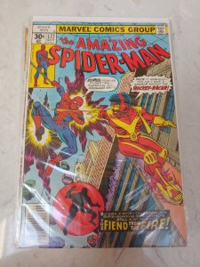 The Amazing Spider-Man #172 (1977)