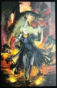 Spike After The Fall (2008) #1 & 2 virgin variant cover Joss Whedon BTVS IDW