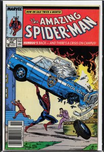 The Amazing Spider-Man #306 (1988) Spider-Man