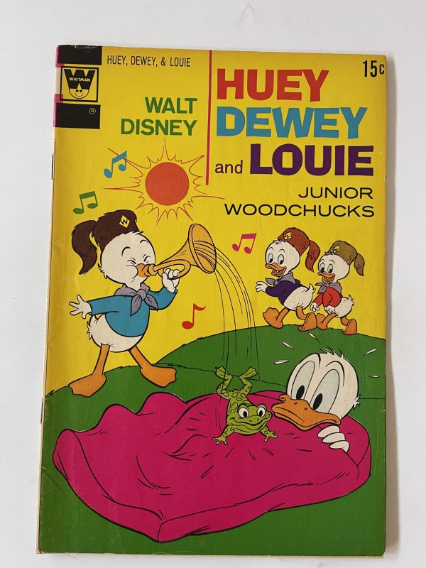 Huey, Dewey and Louie Junior Woodchucks #14 - VG/Fn (1972)