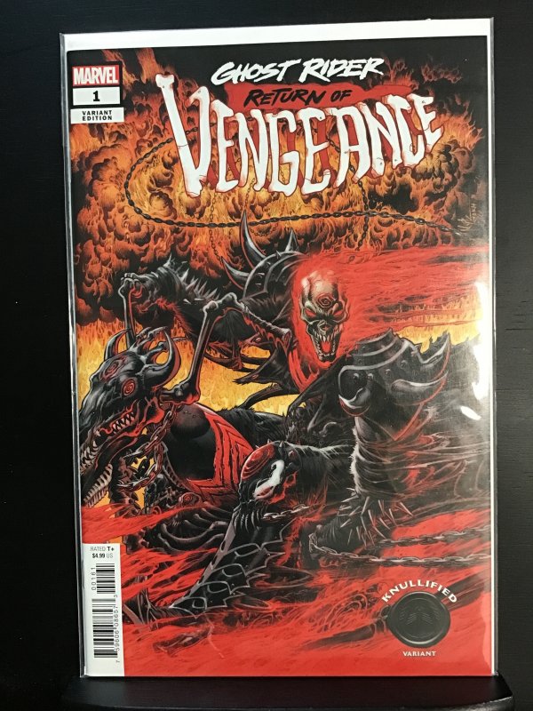Ghost Rider Return of Vengeance #1 Variant