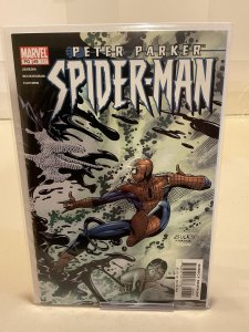 Peter Parker: Spider-Man #49  2002  9.0 (our highest grade)