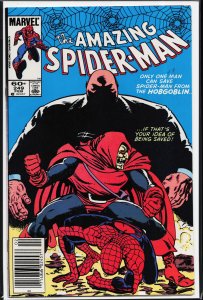 The Amazing Spider-Man #249 (1984) Spider-Man