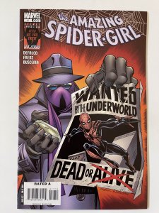 The Amazing Spider-Girl #17 - NM+  (2008)