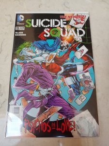 Suicide Squad #15  (2013)