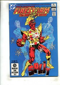 FURY OF FIRESTORM VOL. 2 #13 (8.0) 1983