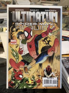 Ultimatum: Spider-Man - Requiem #2 (2009)
