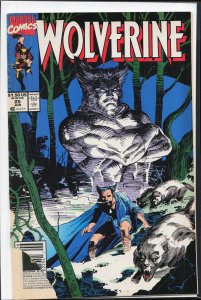 Wolverine #25 (1990) Wolverine