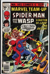 Marvel Team-Up #60 (1977) Wasp