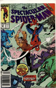 The Spectacular Spider-Man #147 (1989) Spider-Man